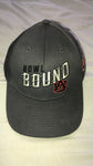 Auburn Tigers Hat