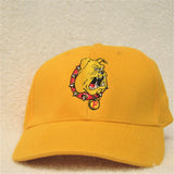 Ferris State Bulldogs Hat