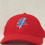 ECSU Vikings Hat