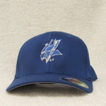 ECSU Vikings Hat