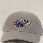 Wisconsin-Whitewater Warhawks Hat